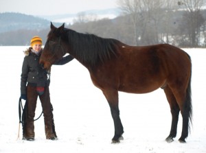 Obrazek